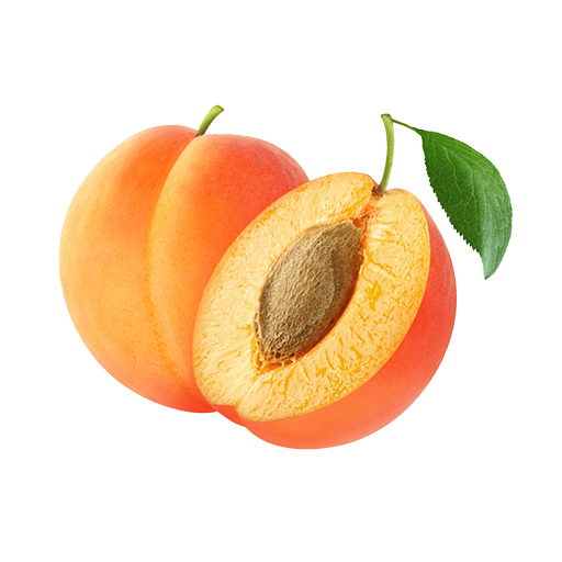 Fruits